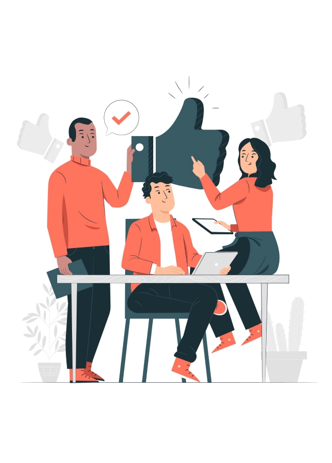 Création de site web professionnelle | FreelyCoded Maroc & France